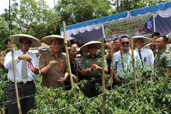 Eman : Terima Kasih Telah Memilih Lahan Pertanian Tomohon